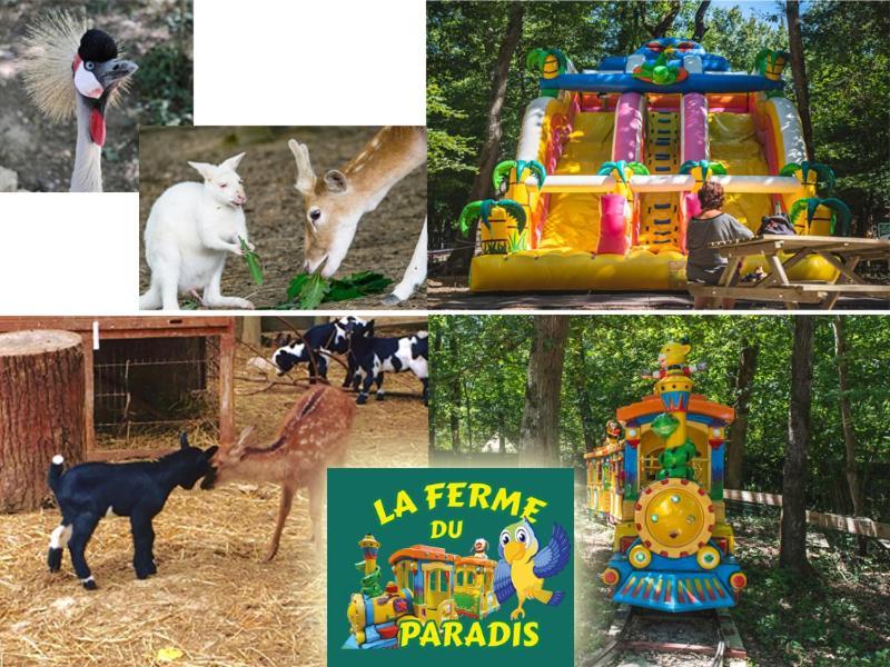 La Clef Des Champs - Vue Imprenable - Piscine